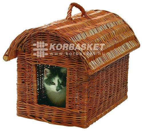 macska_haziko