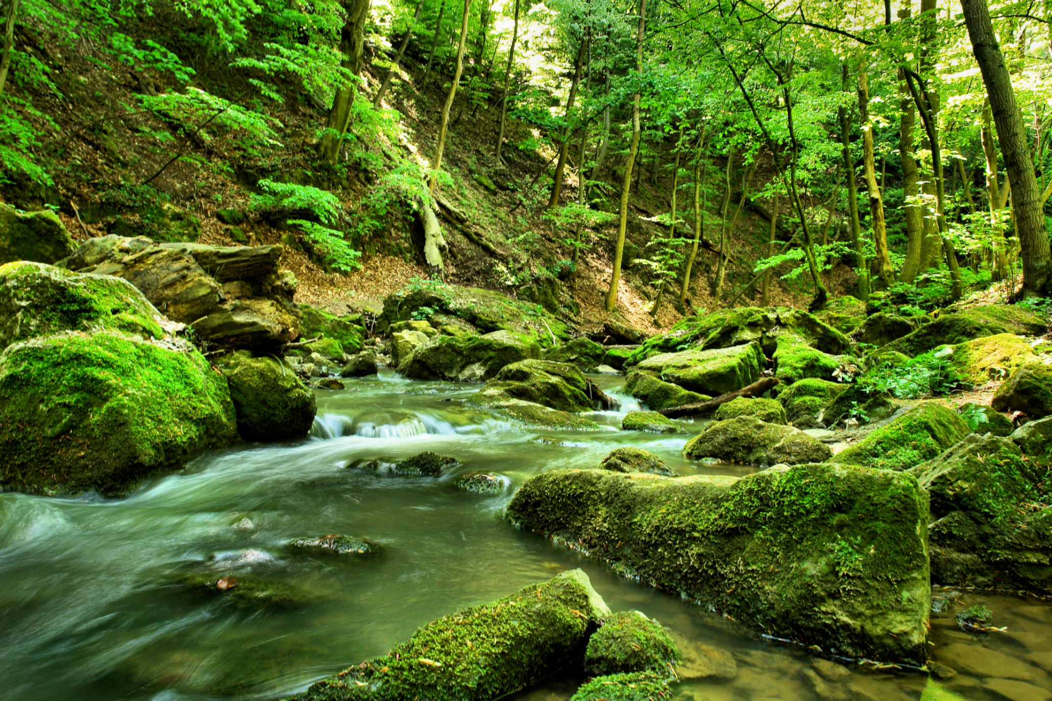 Szállás a Bakonyban, fogadó a Bakonyban