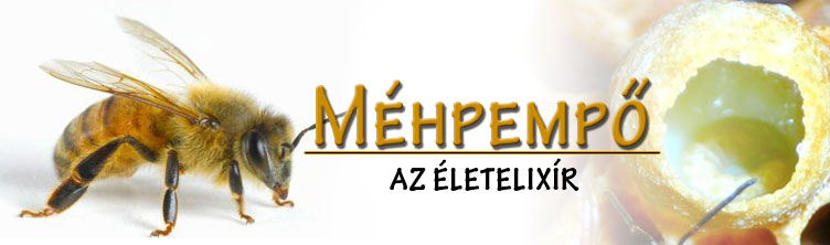 mehpempo-banner_20120529155746_88.jpg
