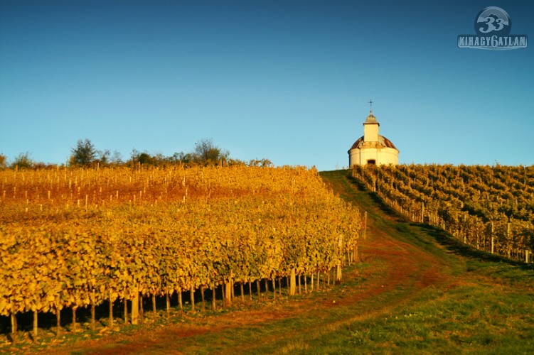 Tokaji aszú webáruház, Tokaji bor webáruház, Tokaji eszencia, tokaji aszúeszencia, tokaji aszú 5 puttonyos, tokaji aszú 6 puttonyos
