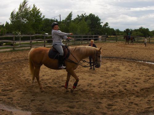 Nyári Gyerektábor, nyári gyerektábor lovaglás, nyári lovastábor