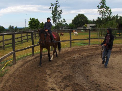 Nyári Gyerektábor, nyári gyerektábor lovaglás, nyári lovastábor