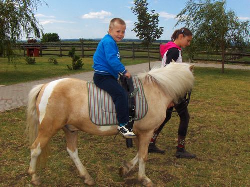 Nyári Gyerektábor, nyári gyerektábor lovaglás, nyári lovastábor