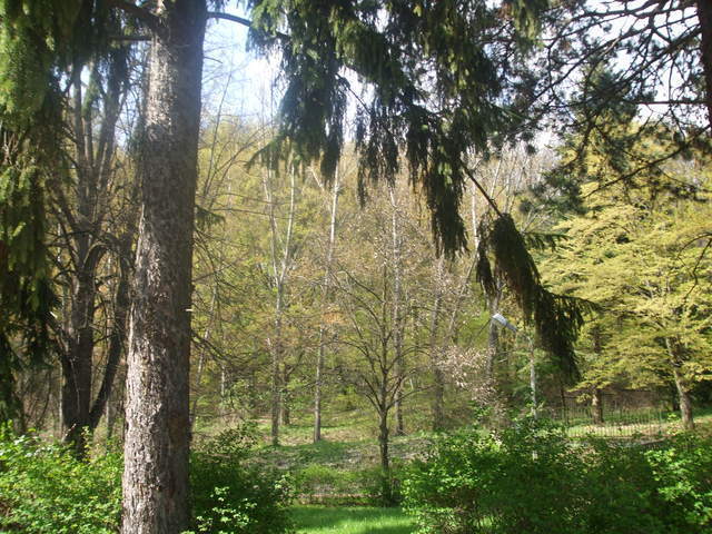 Last minute belföldi utak